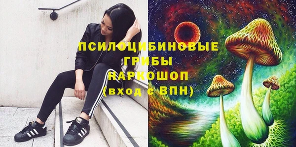 apvp Заводоуковск