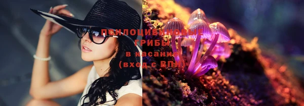 apvp Заводоуковск