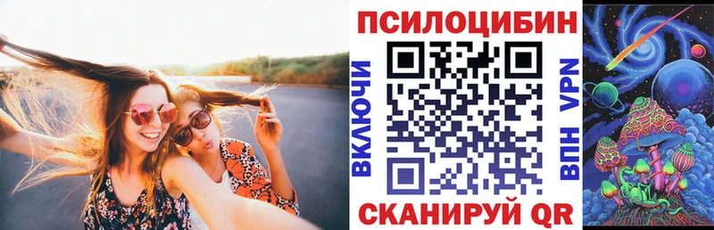 Псилоцибиновые грибы Psilocybine cubensis  Харовск 